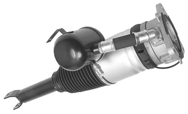 AMP3003