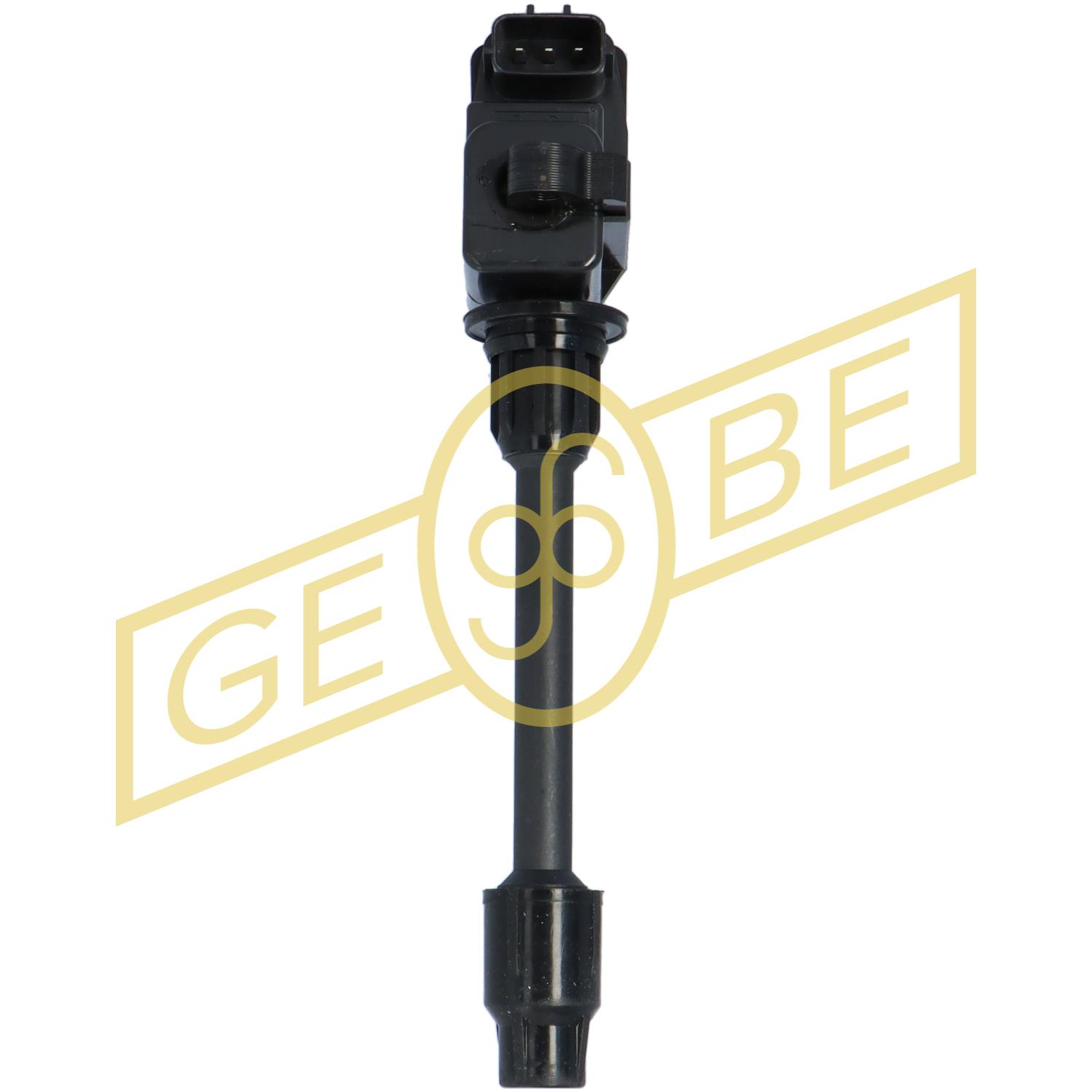 EGT981491
