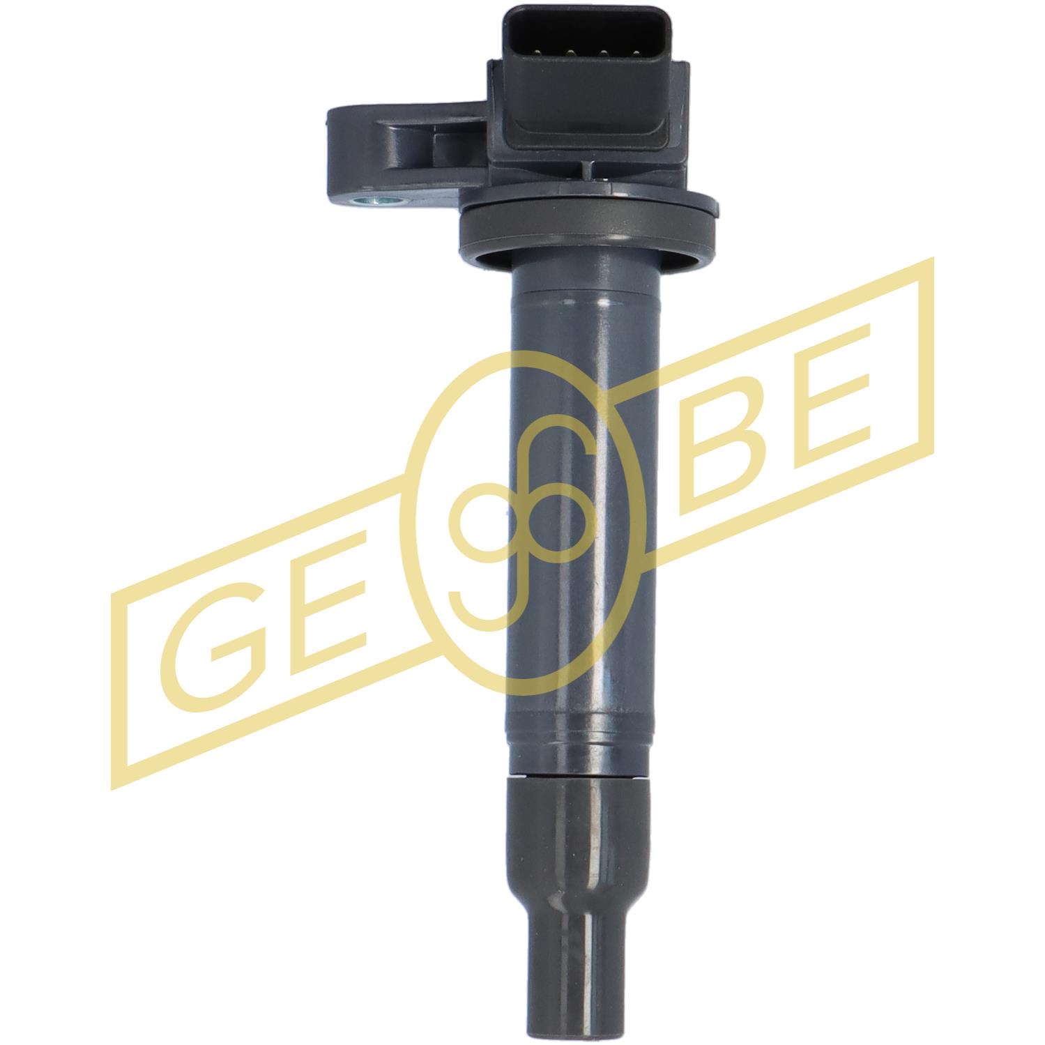 EGT981551