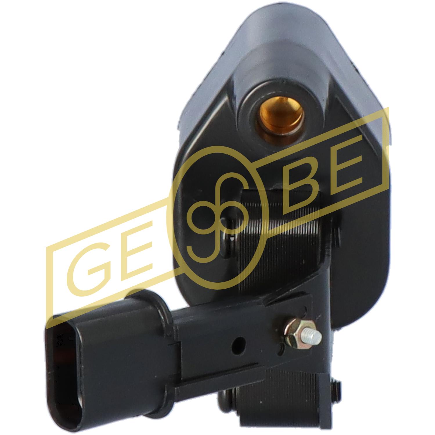 EGT981161