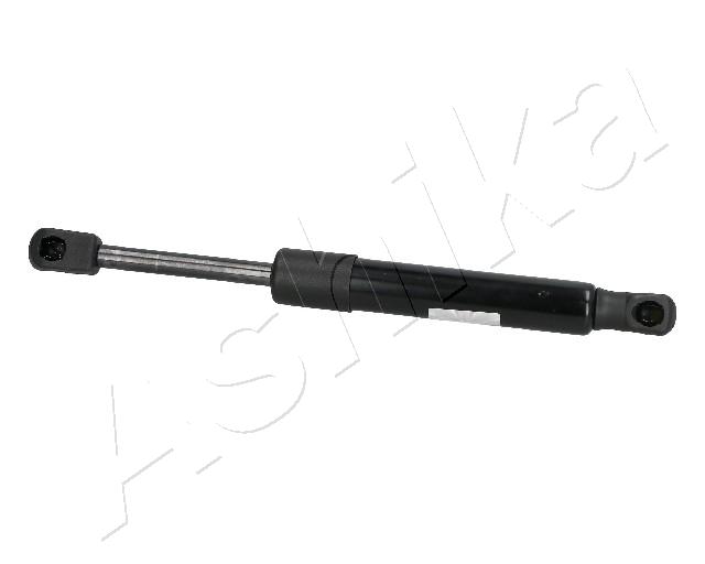 ZSA04048