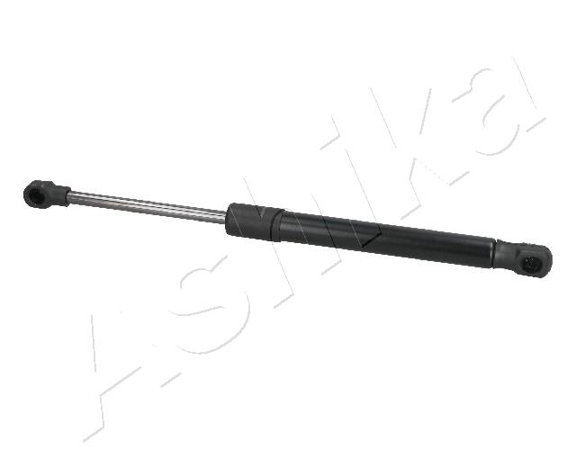 ZSA09113