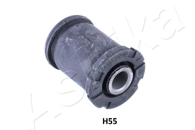 GOM-H55