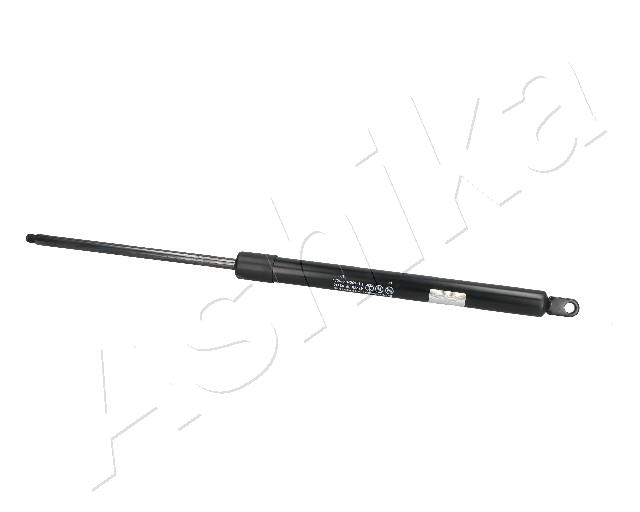 ZSA03116