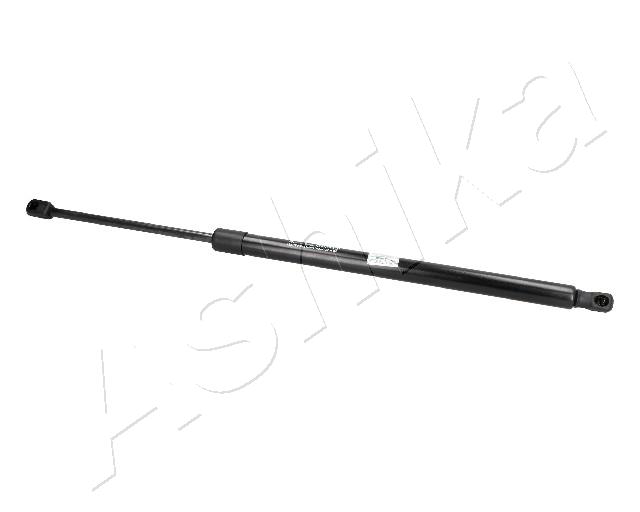 ZSA09135