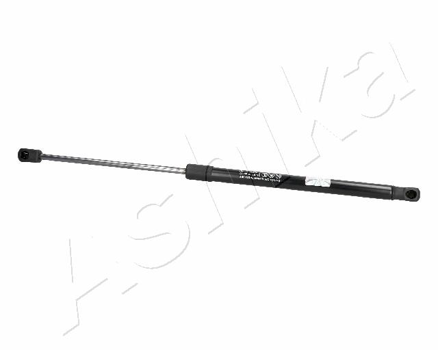 ZSA06067