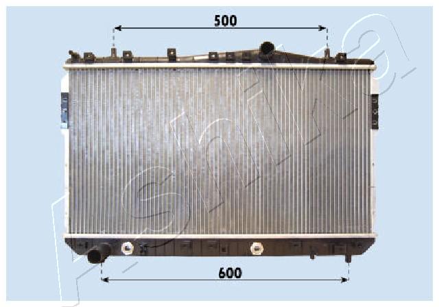 RDA313021