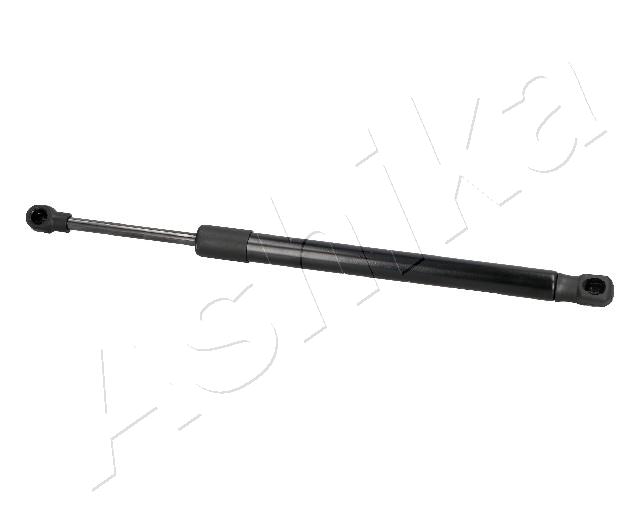 ZSA09197