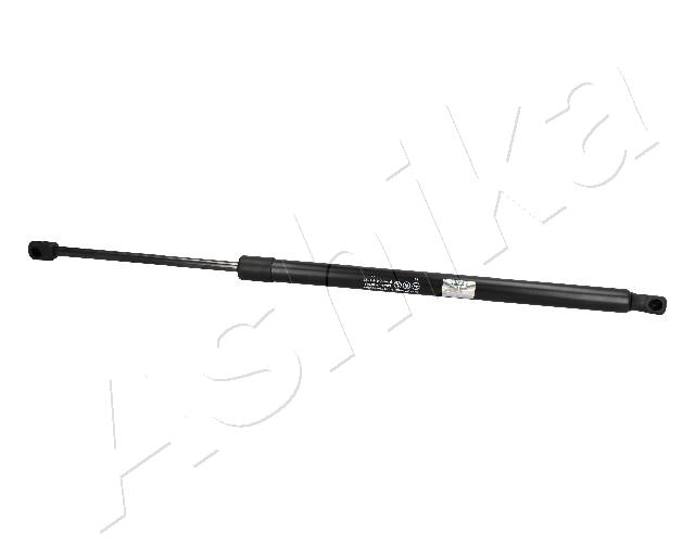 ZSA02047