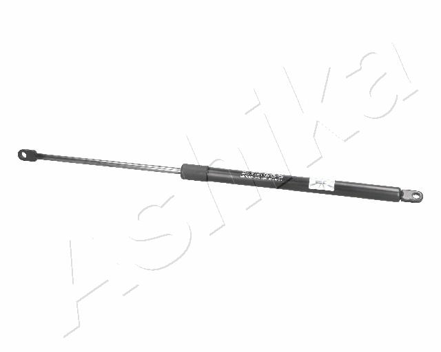 ZSA02037