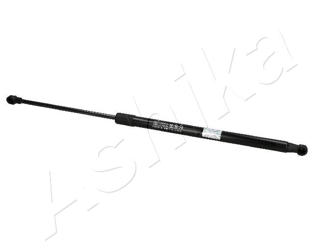 ZSA01081