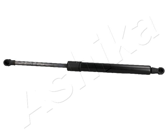 ZSA02091