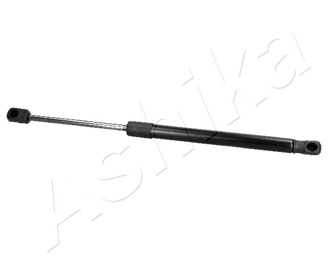 ZSA02079