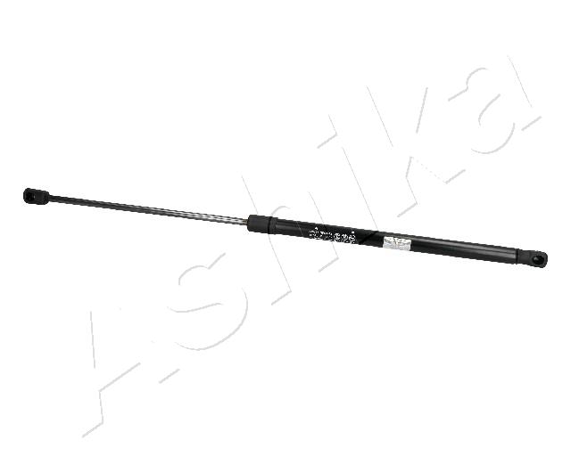 ZSA05053
