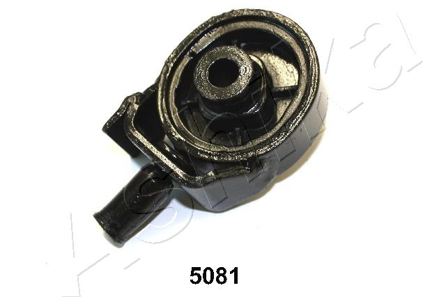 GOM-5081