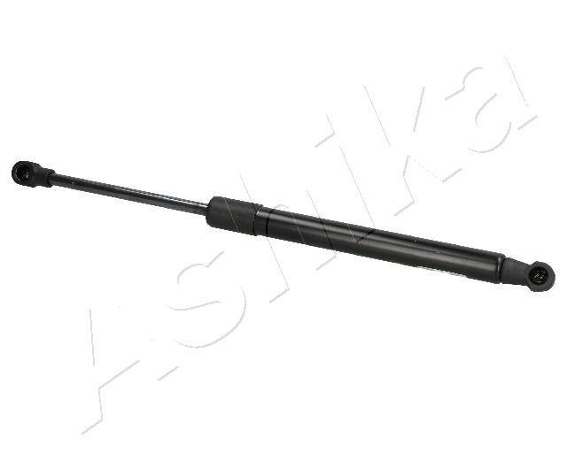 ZSA01055