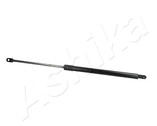 ZSA04054