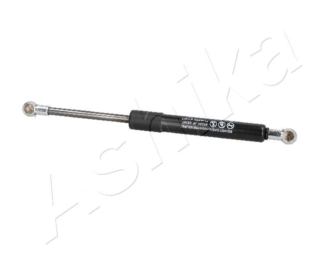 ZSA02087