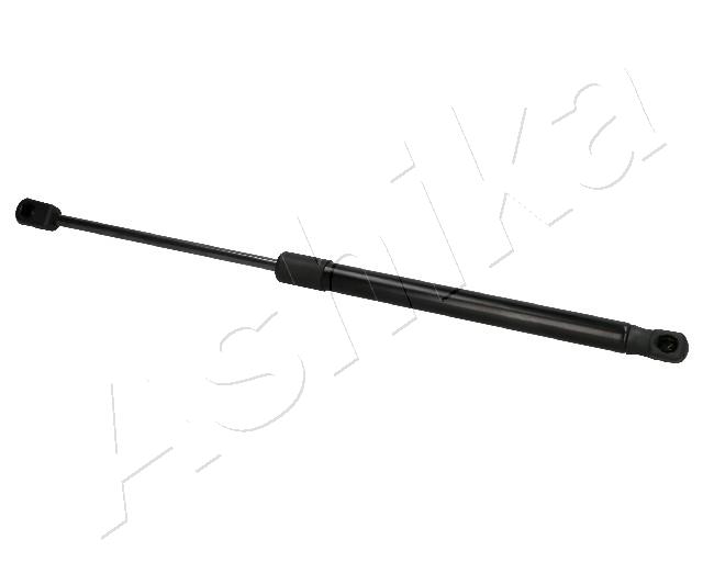ZSA02038