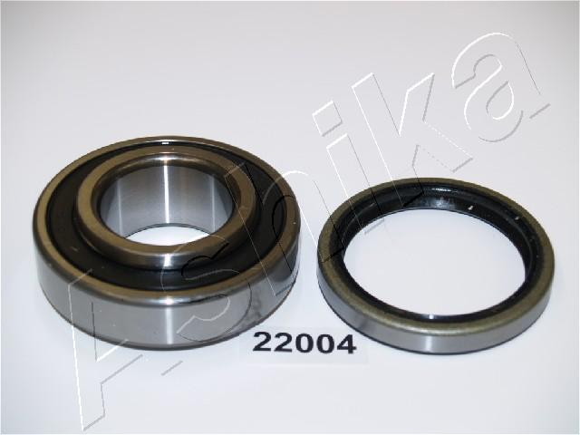 44-22004