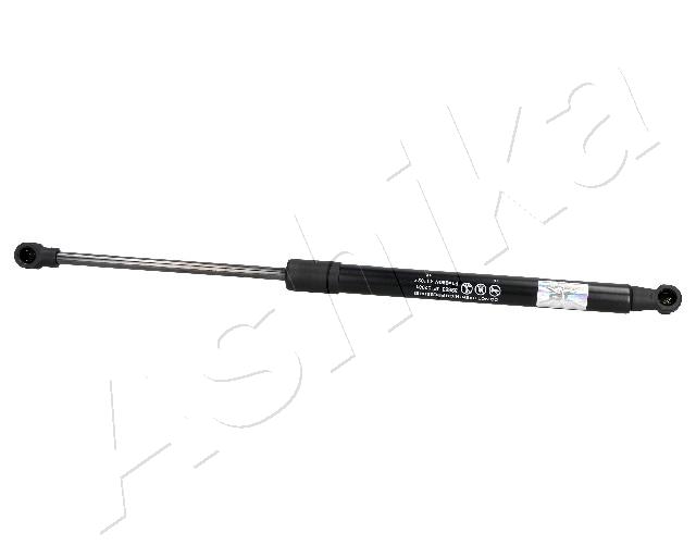 ZSA02081