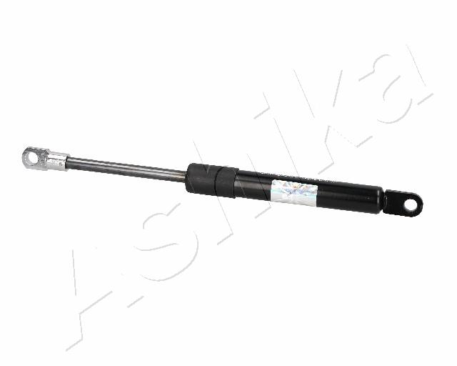 ZSA02070