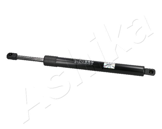 ZSA04060
