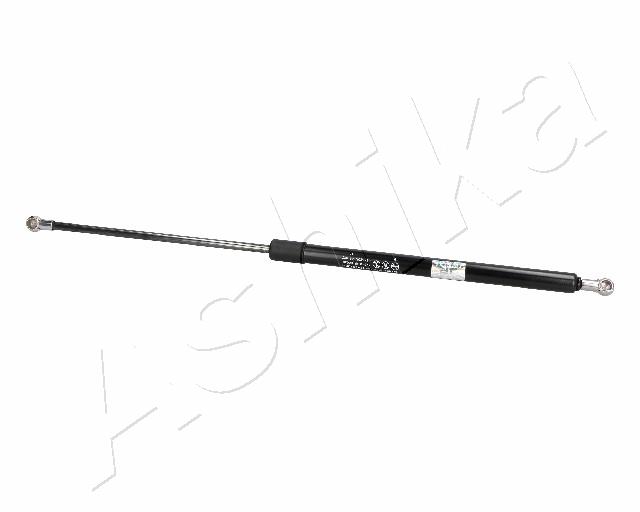 ZSA06039