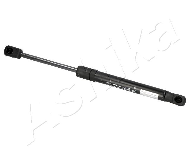 ZSAK0019