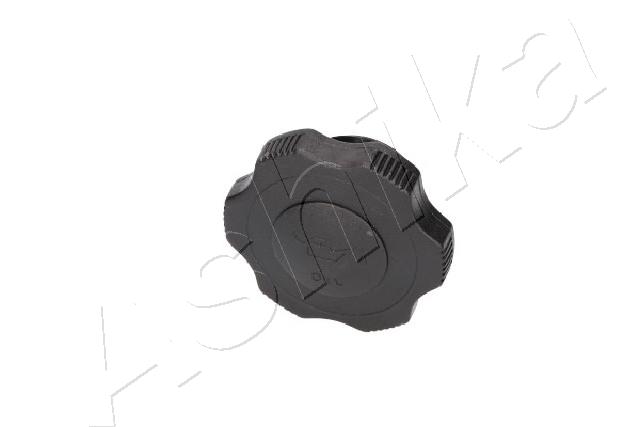 045310250A