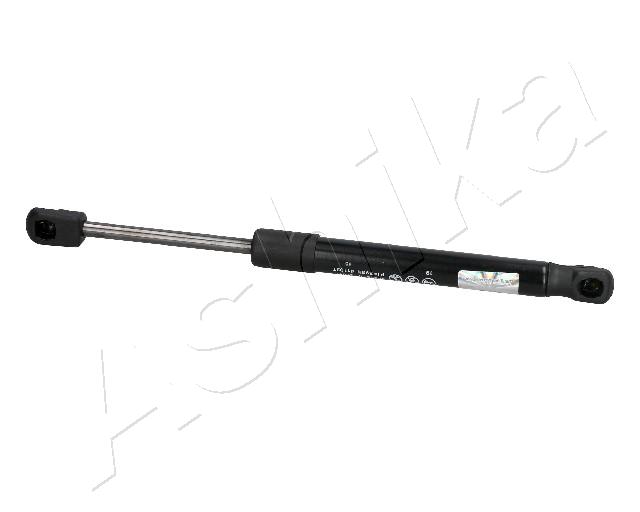 ZSA30011