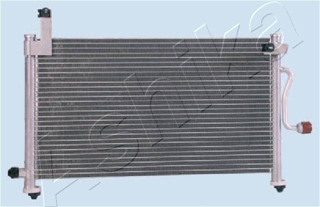 CND313010