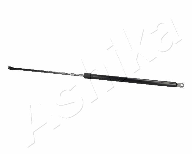 ZSA06025