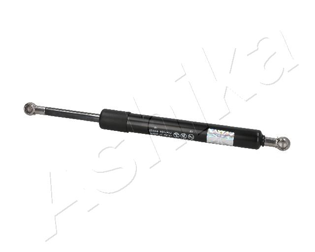 ZSA09203