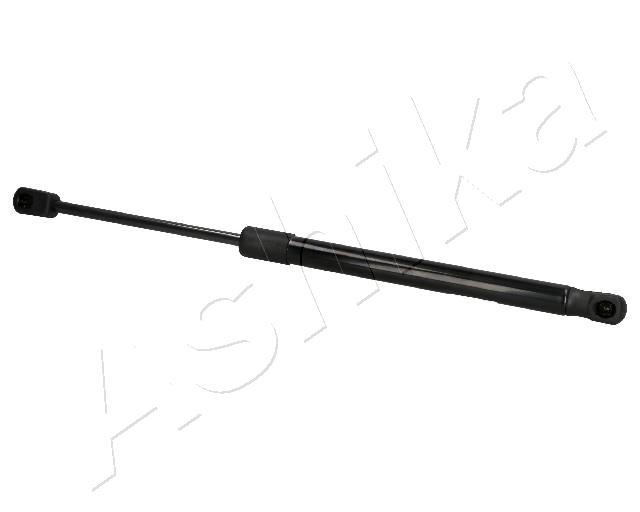 ZSA01091