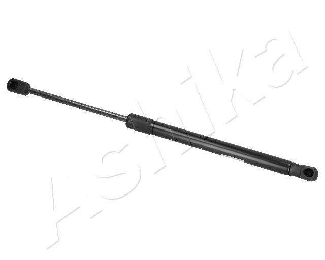 ZSA09012