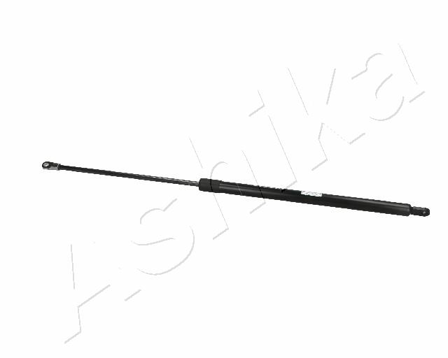 ZSA06024
