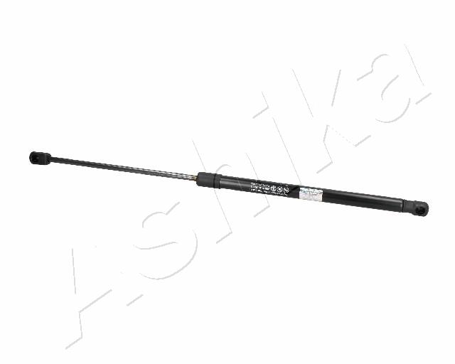 ZSA02063