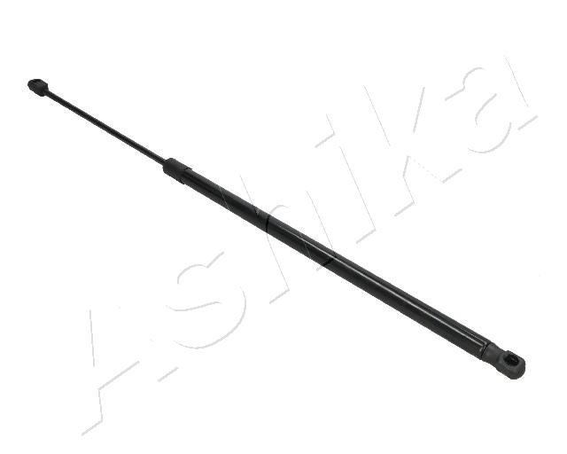 ZSA09048