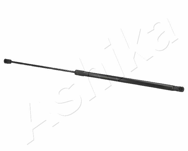 ZSA01004