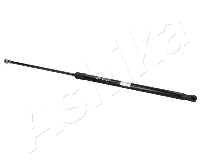 ZSA09011