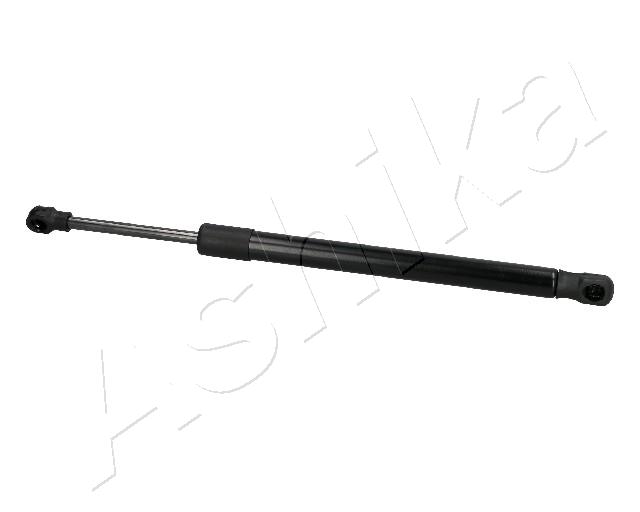 ZSA09230