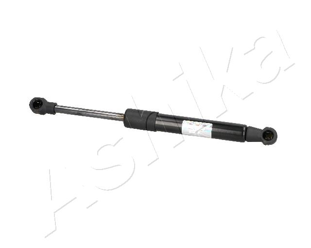 ZSA02062