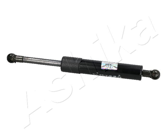 ZSA03100