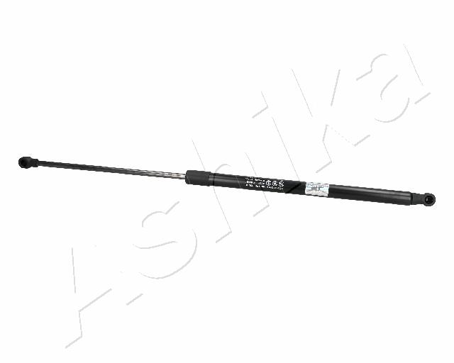 ZSA06081
