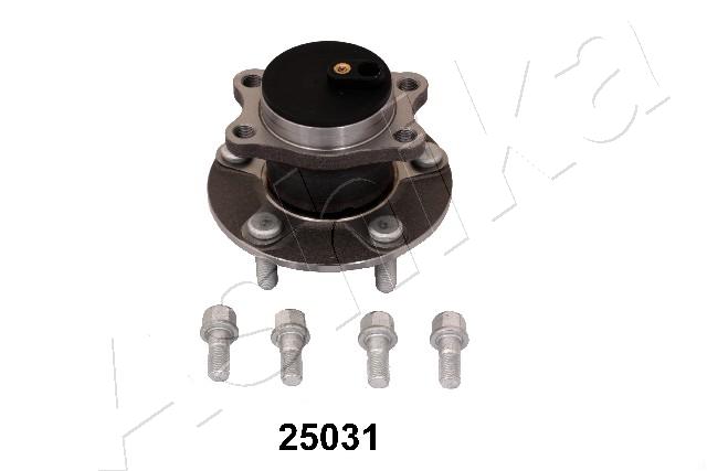 44-25031