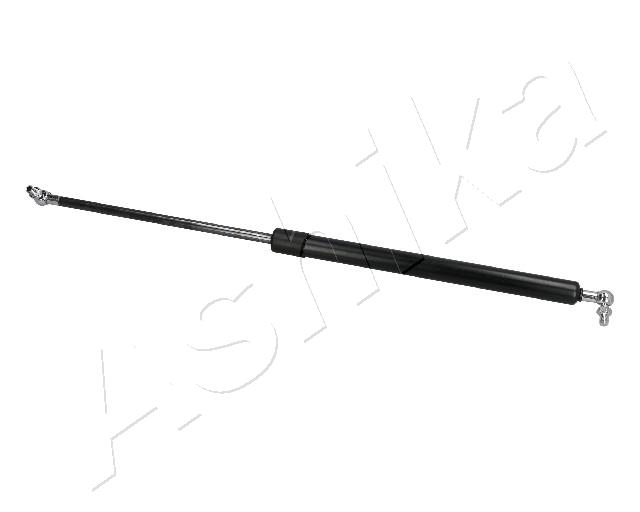 ZSA10006
