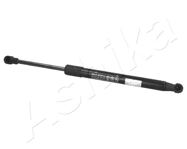 ZSA01019