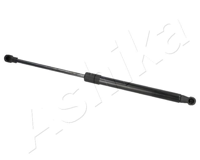 ZSA02024