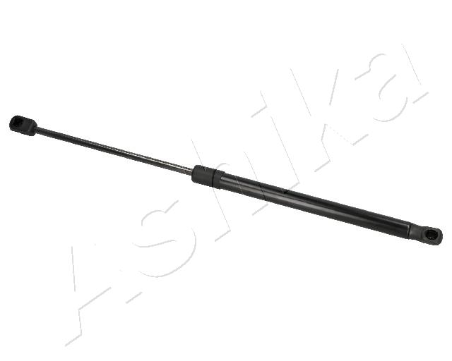 ZSA07024